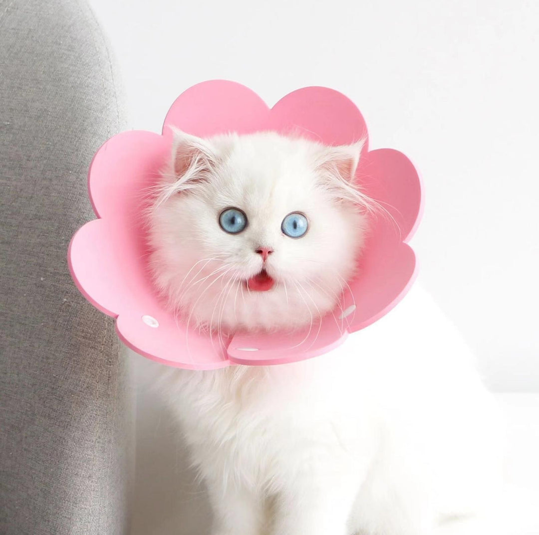 Meoof Sunflower E-Collar - Lightweight &amp; Stylish for Cats &amp; Dogs