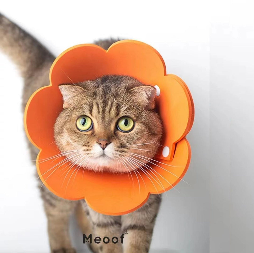 Meoof Sunflower E-Collar - Lightweight &amp; Stylish for Cats &amp; Dogs