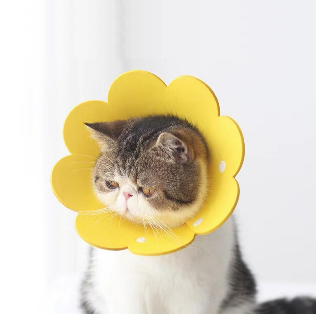 Meoof Sunflower E-Collar - Lightweight &amp; Stylish for Cats &amp; Dogs