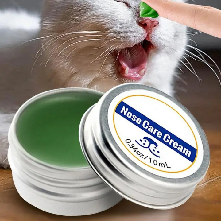 Care and protection cream for dog snouts