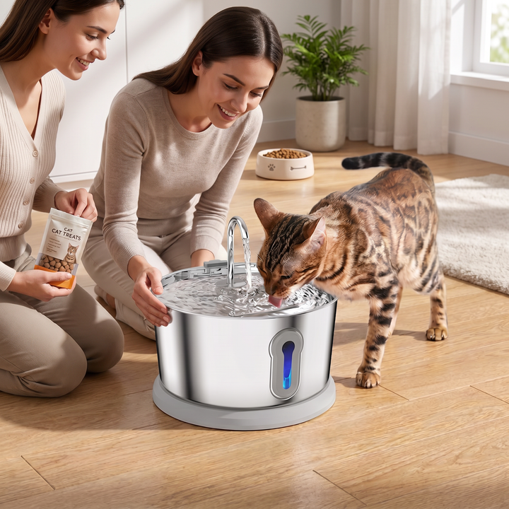 Smart Antibacterial Stainless Steel Pet Water Fountain – 4L Ultra-Quiet for Improved Pet Hydration &amp; Health