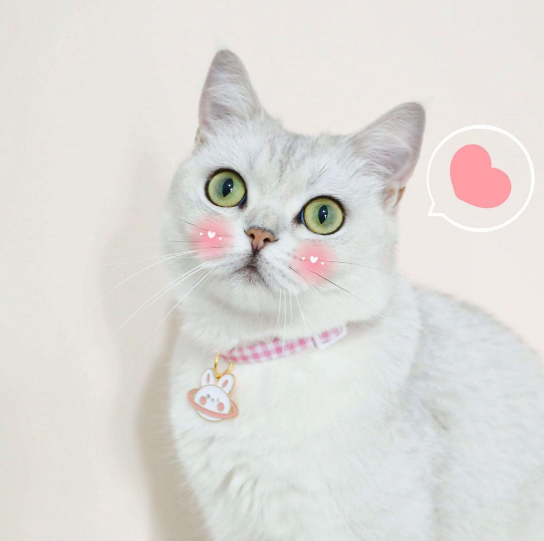 Pet Animal Shape Pendant Necklace With Candy Coloured