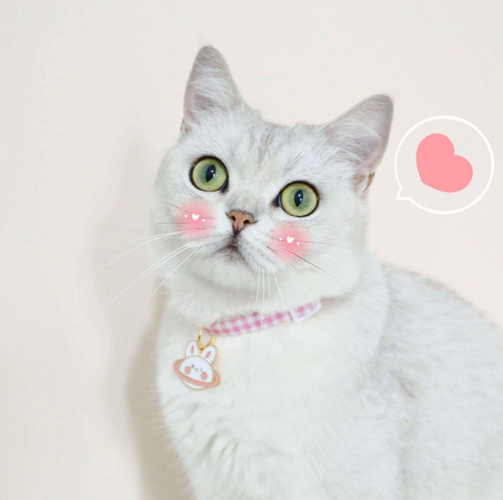 Pet Animal Shape Pendant Necklace With Candy Coloured