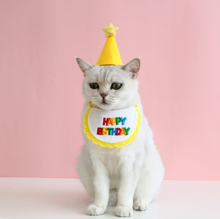 Pet Birthday Ensemble: Stylish Hat &amp; Bib Accessory Set