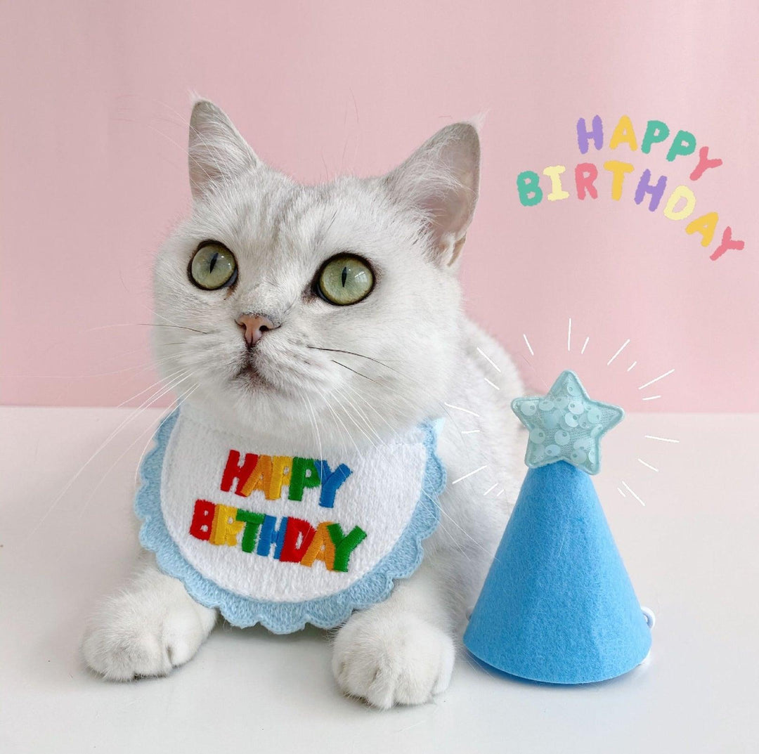 Pet Birthday Ensemble: Stylish Hat &amp; Bib Accessory Set