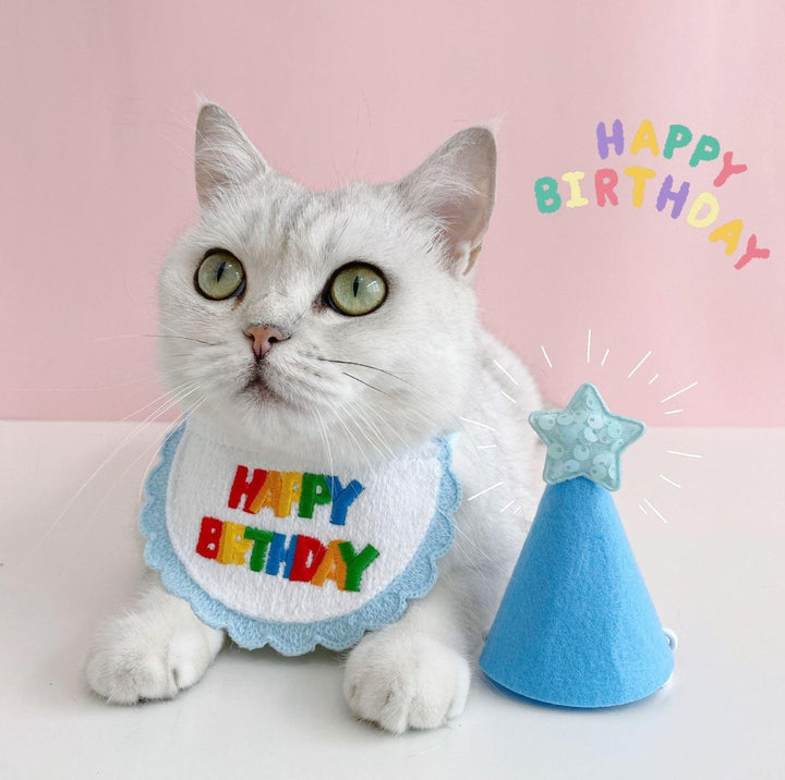 Pet Birthday Ensemble: Stylish Hat &amp; Bib Accessory Set