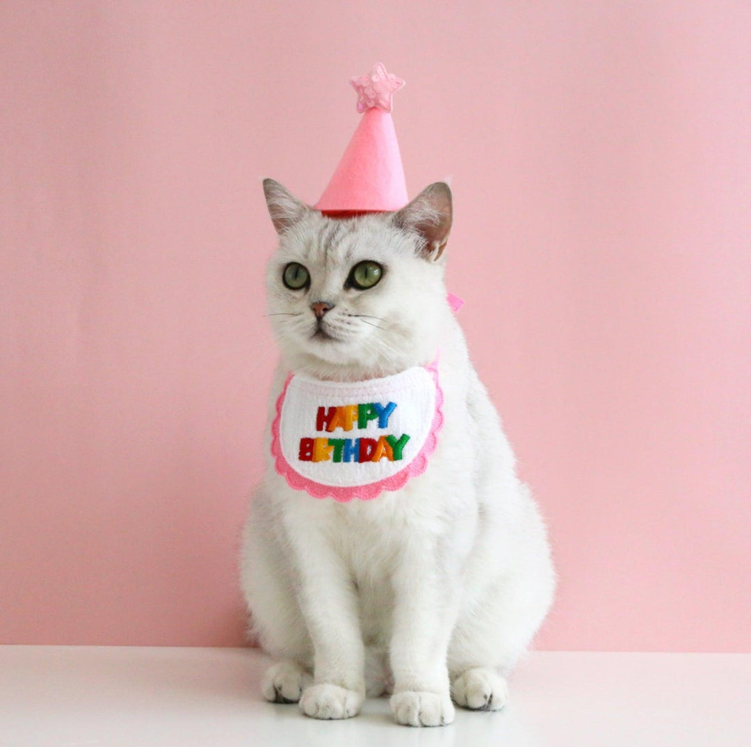 Pet Birthday Ensemble: Stylish Hat &amp; Bib Accessory Set