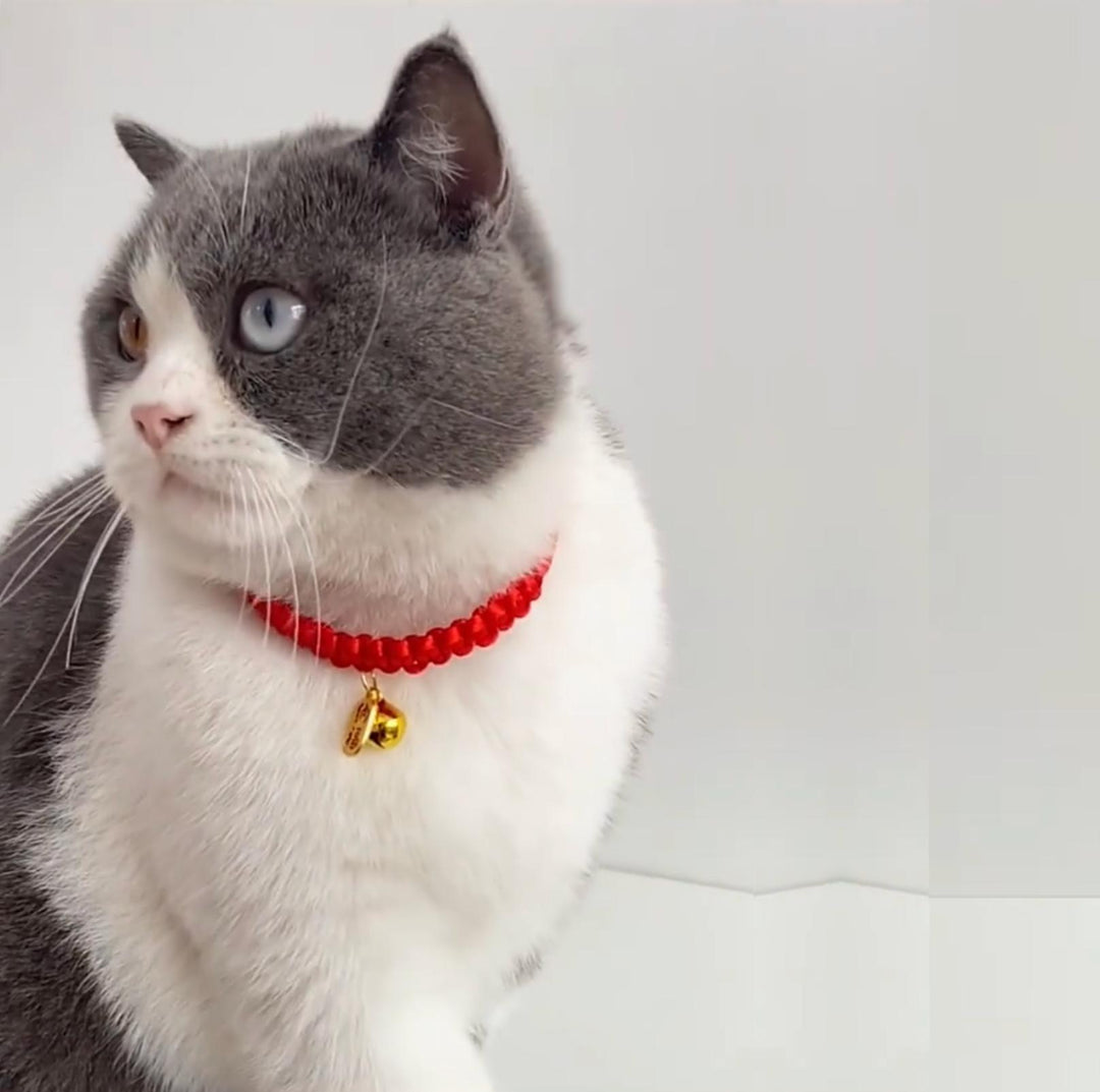 Pet Woven Red String Adjustable Collar With Chinese Style Forturne Pendants