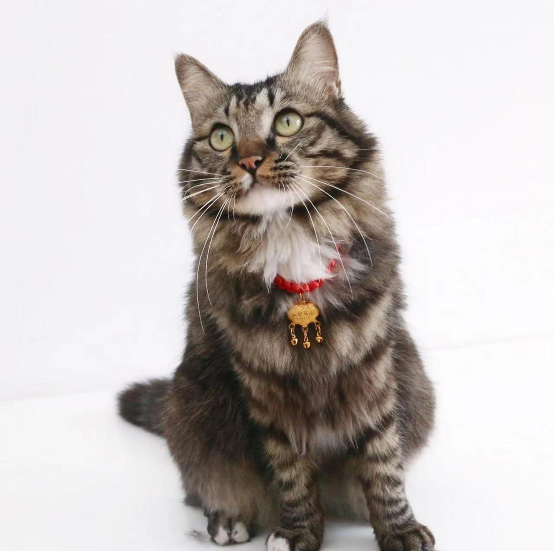 Pet Woven Red String Adjustable Collar With Chinese Style Forturne Pendants