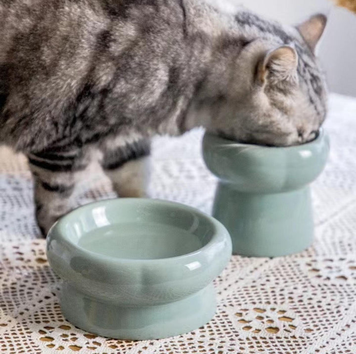 Petal Style Ceramic Cat Bowls and Small Dog Bowls