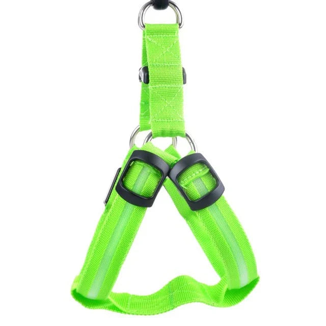 GlowSafe LED Dog Harness