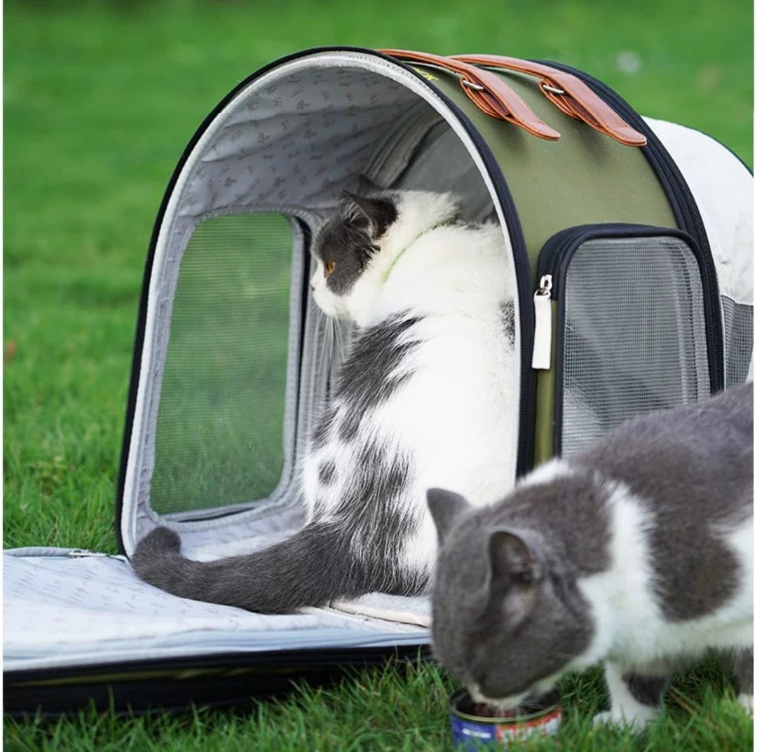 Purrpy Multifunctional Pet Backpack &amp; Tent Car Carrier