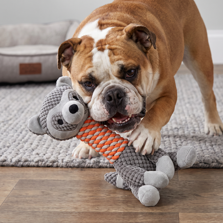 Durable Animal Plush Rope Dog Toy with Squeaker &amp; Teeth Cleaning