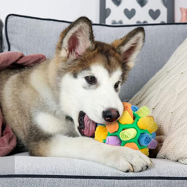 PlayPaw Interactive Pet Toy