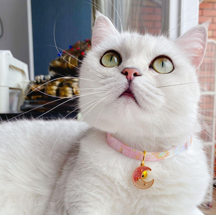 Sweet Moon and Star Series Adjustable Bell Cat Collar
