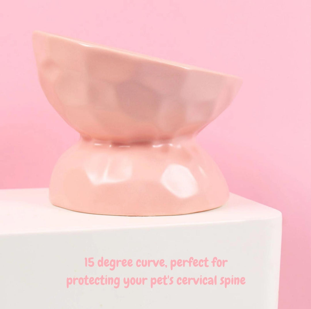 Tilting Ceramic Cat Bowls With Uneven Texture