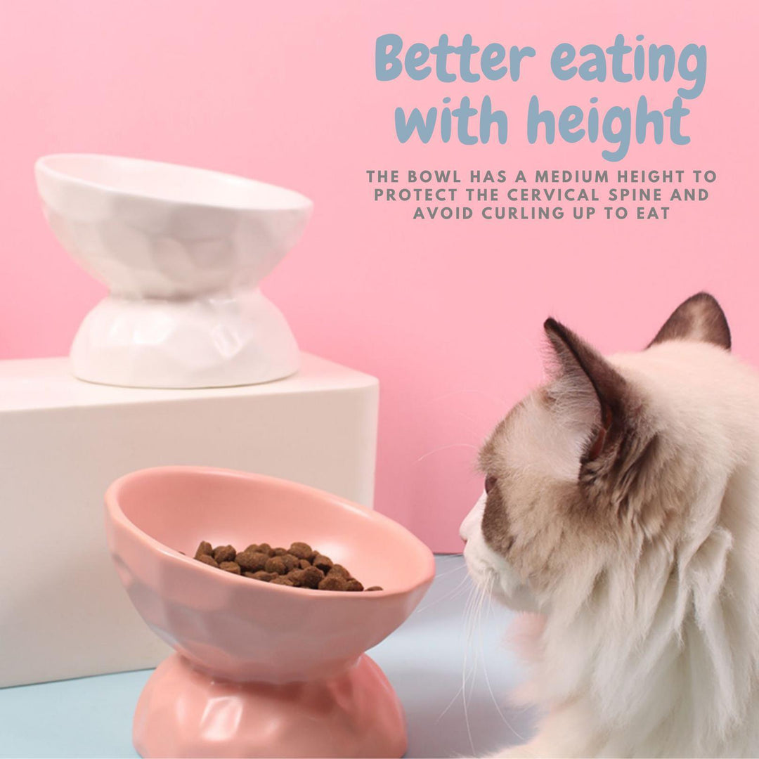 Tilting Ceramic Cat Bowls With Uneven Texture
