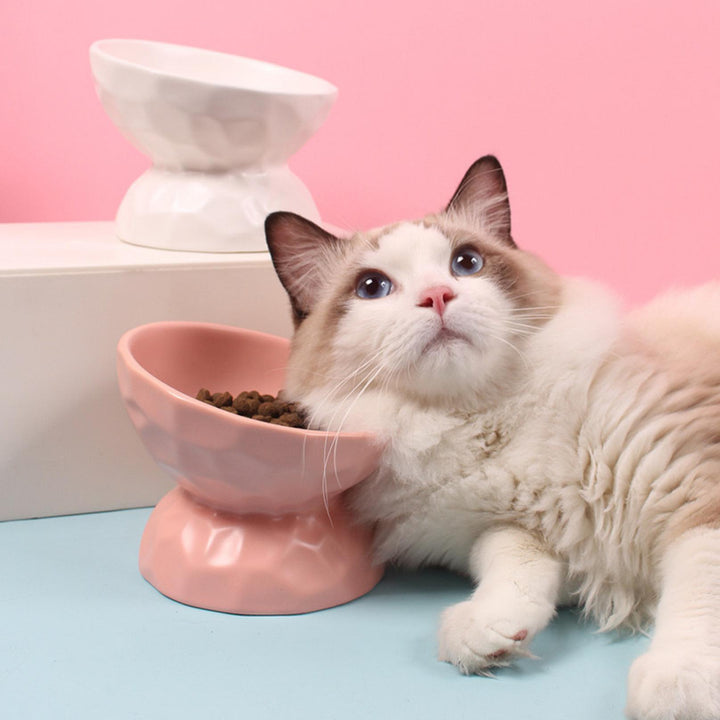 Tilting Ceramic Cat Bowls With Uneven Texture