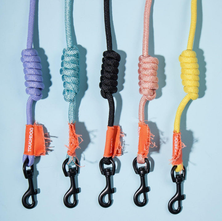 Touchdog Macaroon Colour Scheme Pet Leash Set (Leash + Collar)
