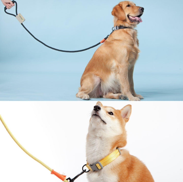 Touchdog Macaroon Colour Scheme Pet Leash Set (Leash + Collar)