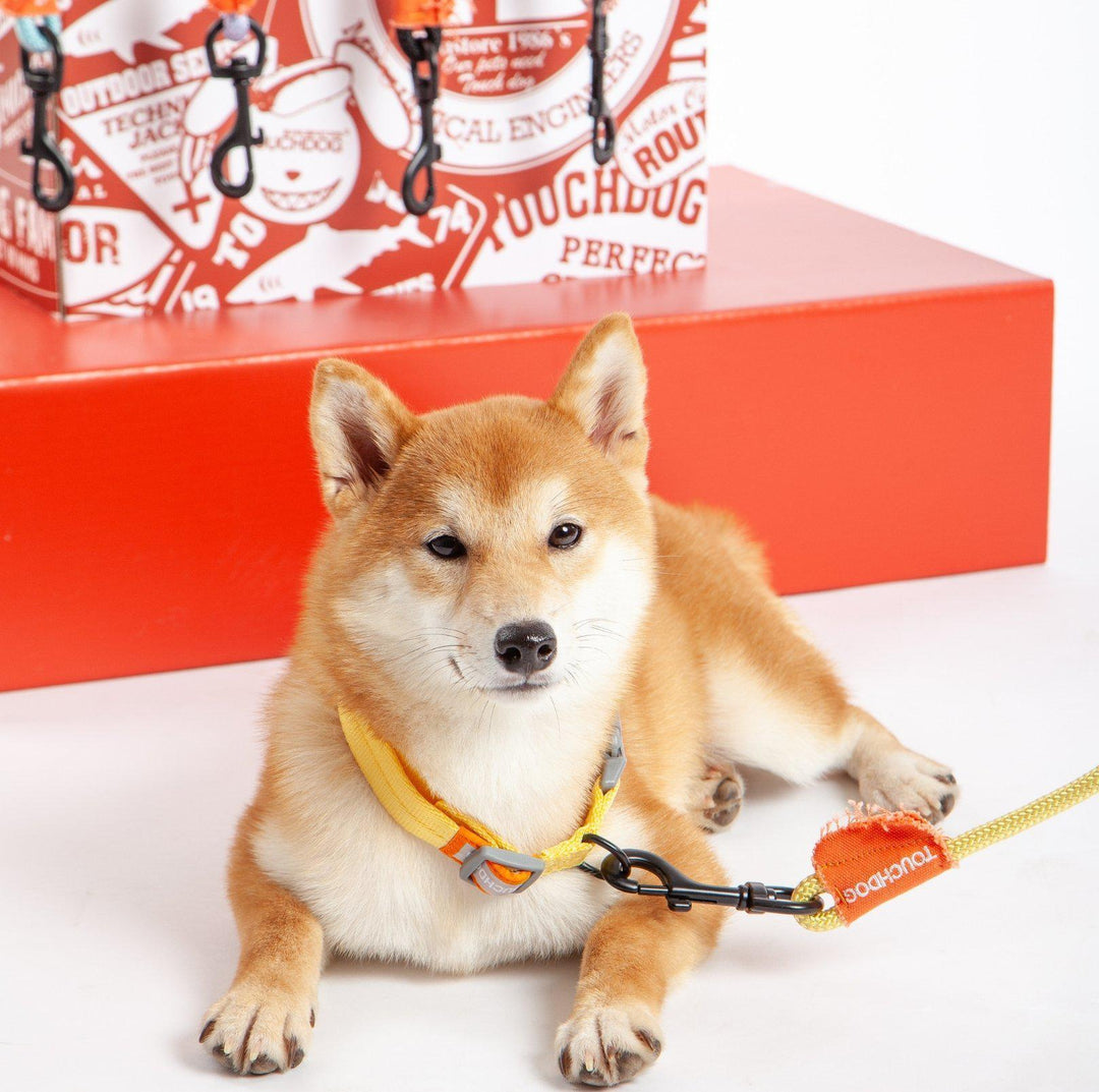 Touchdog Macaroon Colour Scheme Pet Leash Set (Leash + Collar)