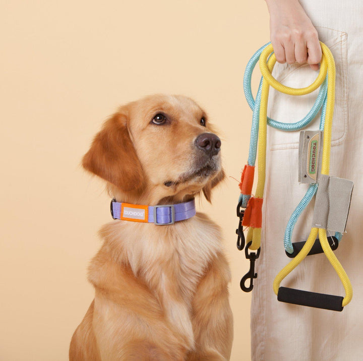 Touchdog Macaroon Colour Scheme Pet Leash Set (Leash + Collar)